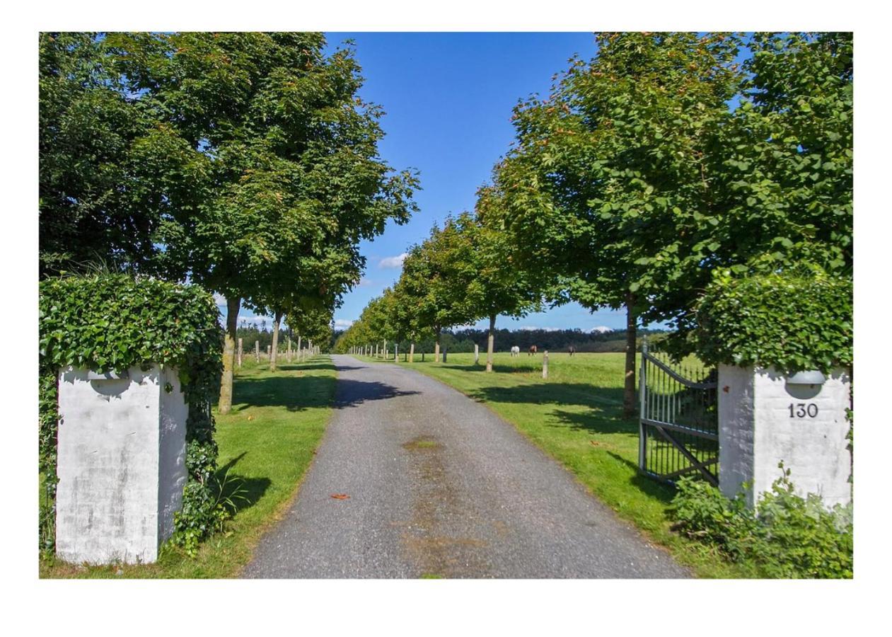 ヴィボー Holmsminde Bed & Breakfast エクステリア 写真