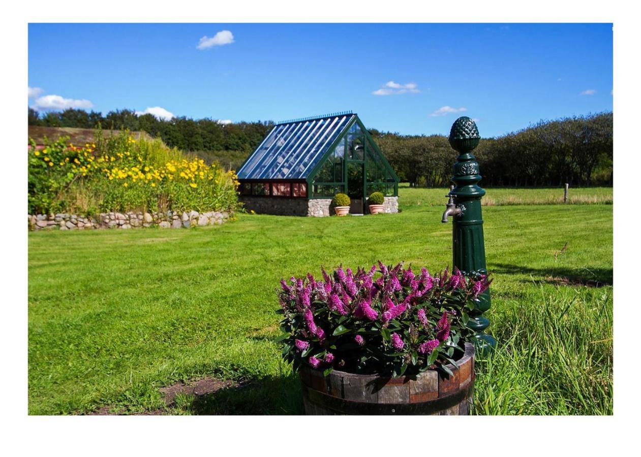ヴィボー Holmsminde Bed & Breakfast エクステリア 写真